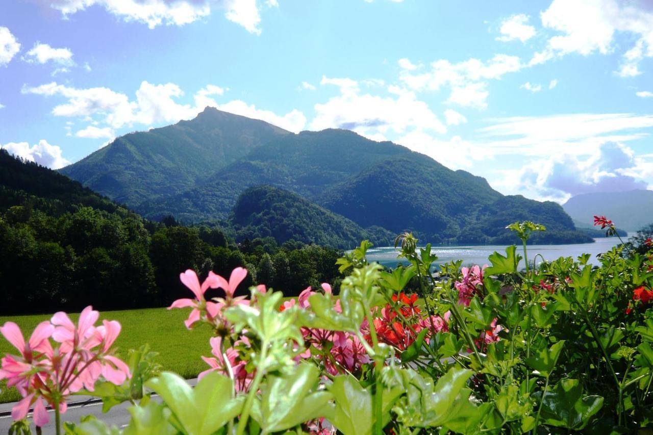 Fruehstueckspension Seeblick Sankt Gilgen Ngoại thất bức ảnh
